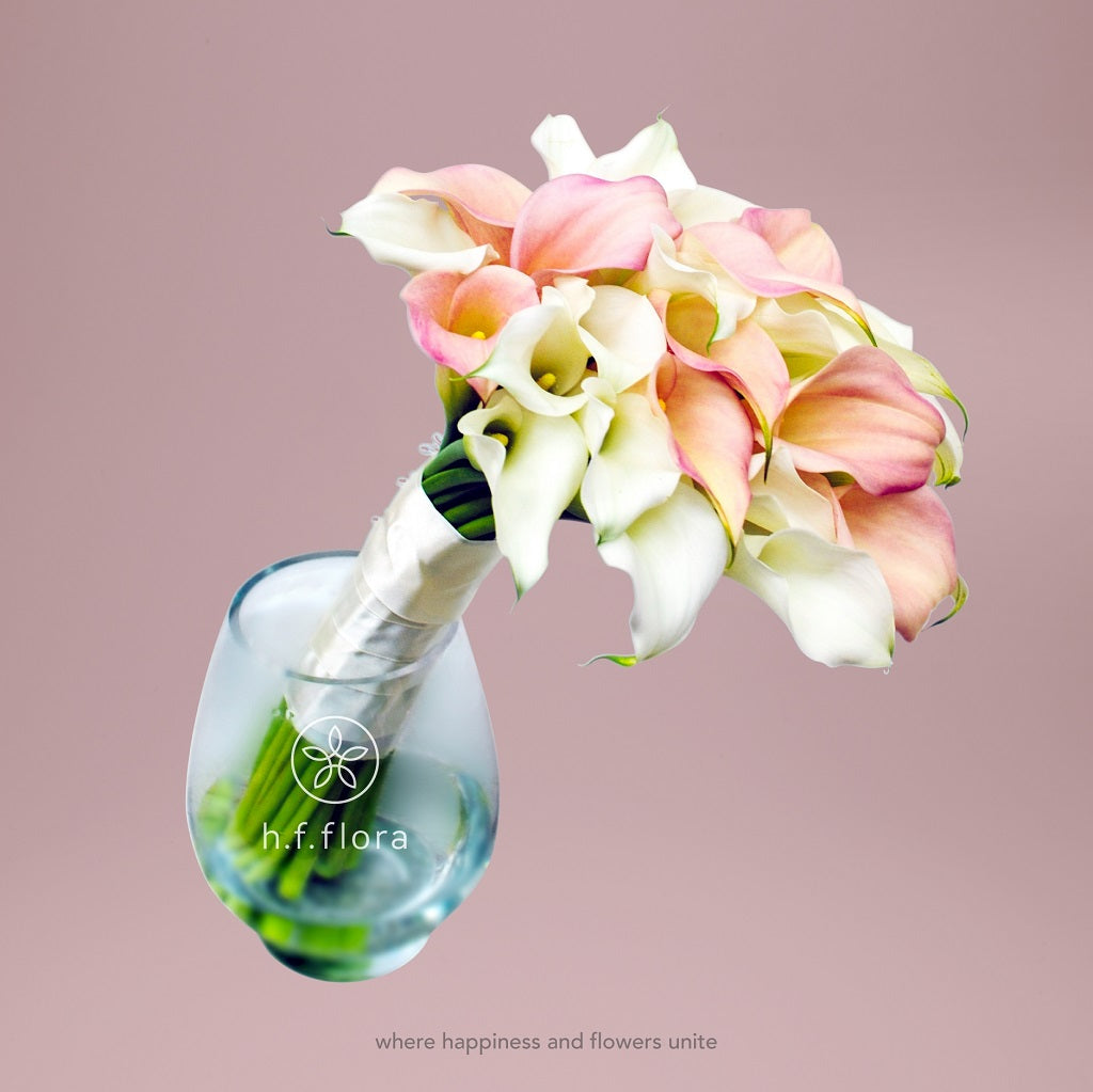 mini lily flower Mini calla lily – h.f.flora