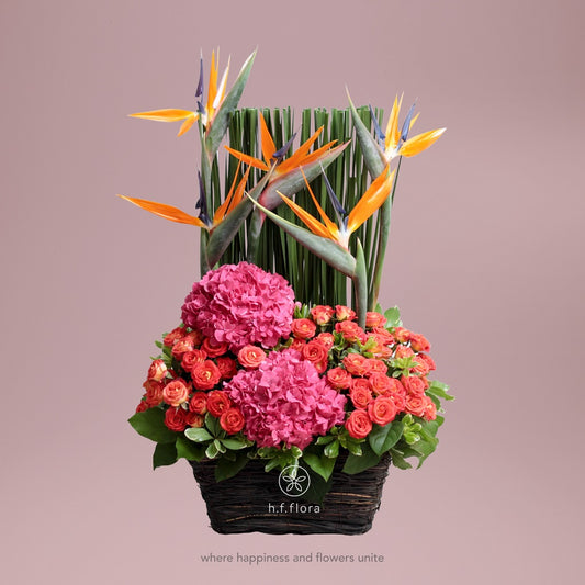 highlife  flower basket