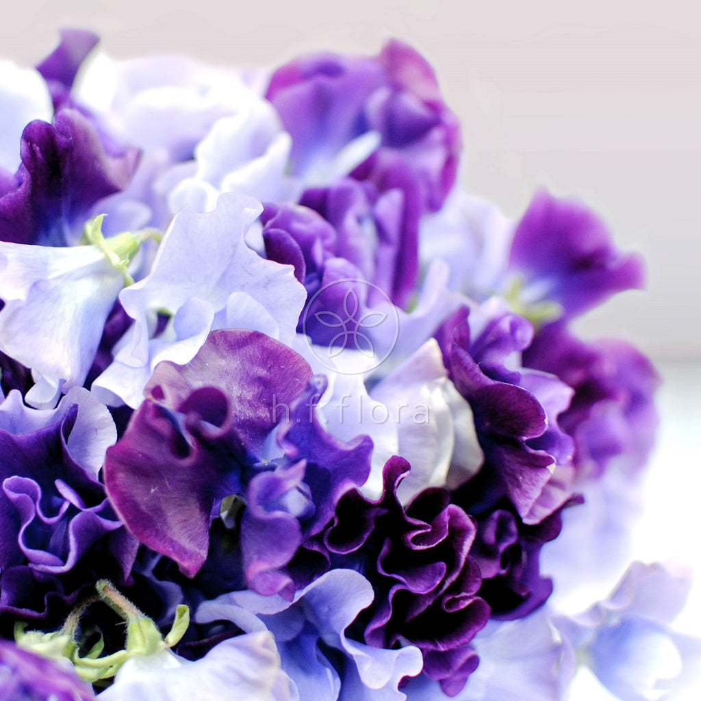 Purple sweet peas wedding bridal bouquet