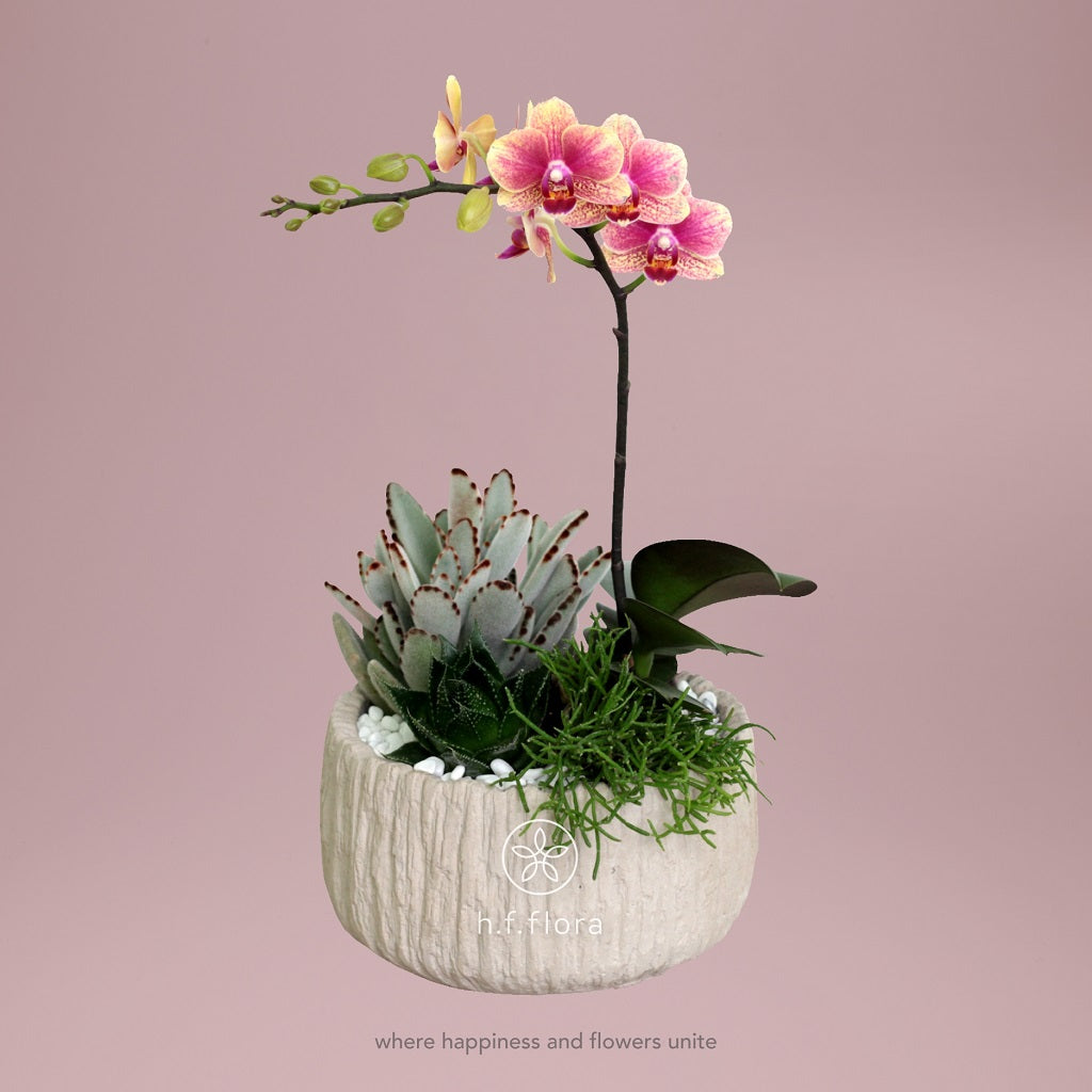 Warm temperatures flower vase